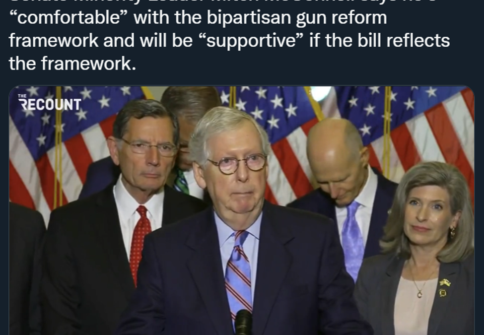 McConnell: “I support gun control!”